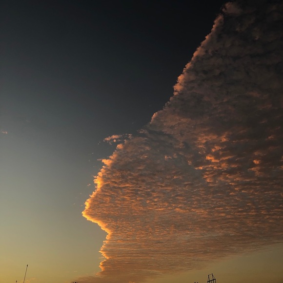 Meet your Posher, Anaid - Picture 1 of 1